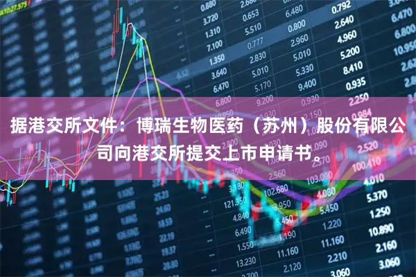据港交所文件：博瑞生物医药（苏州）股份有限公司向港交所提交上市申请书。