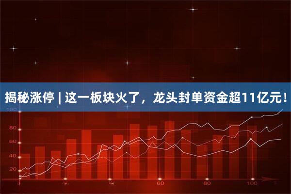 揭秘涨停 | 这一板块火了,龙头封单资金超11亿元!