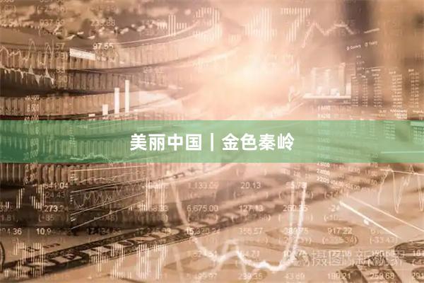 美丽中国｜金色秦岭